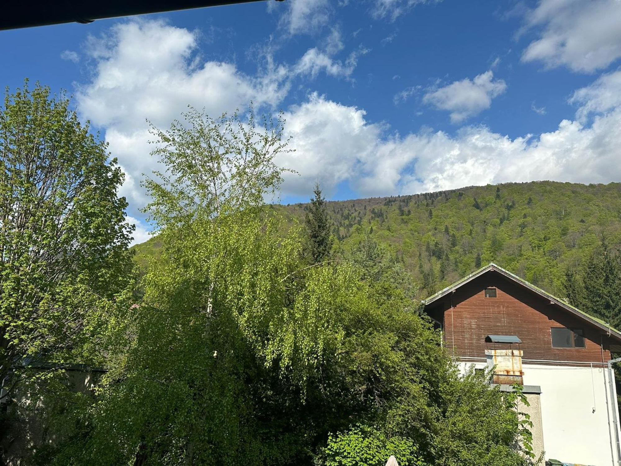 Rapsodia Sinaia Bed & Breakfast Exterior photo