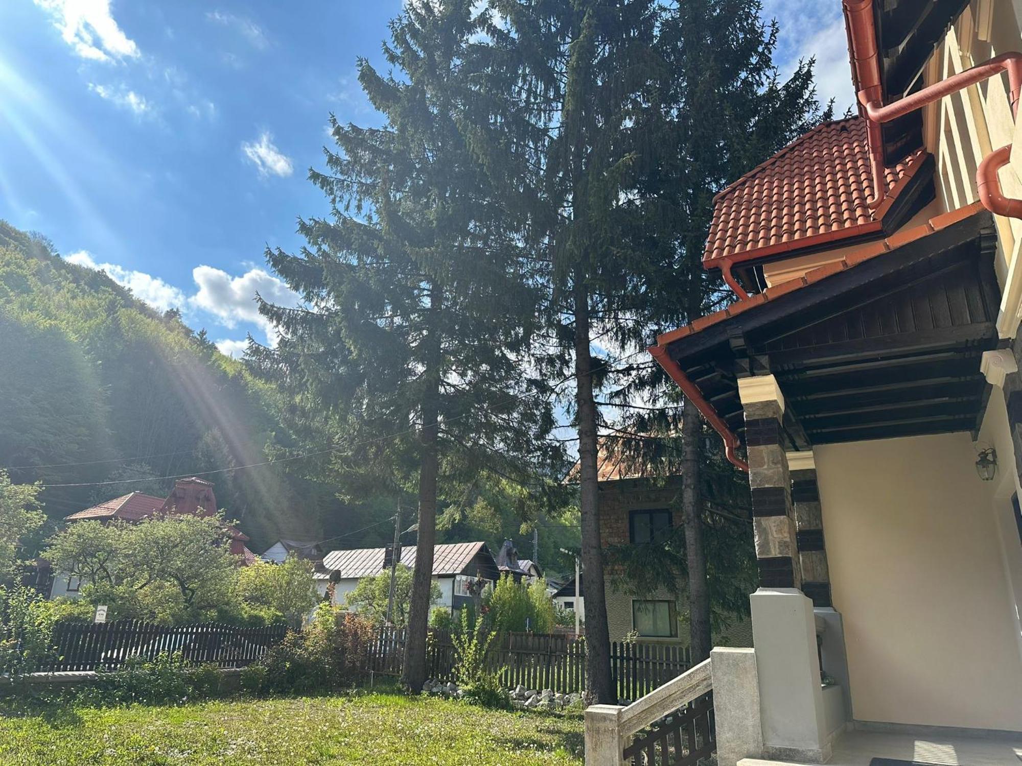 Rapsodia Sinaia Bed & Breakfast Exterior photo